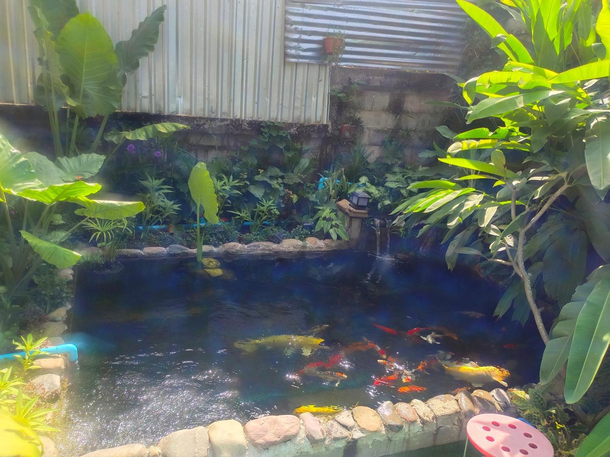 Dokchampa Hotel Vang Vieng Luaran gambar